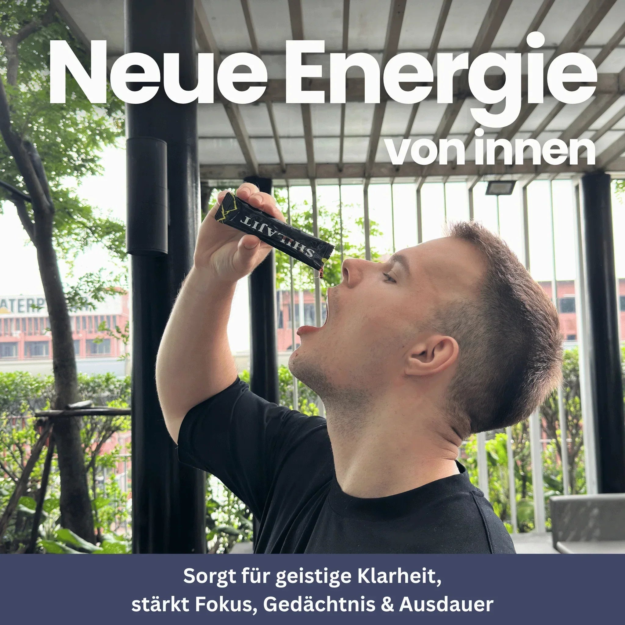 Shilajit Honey Sticks