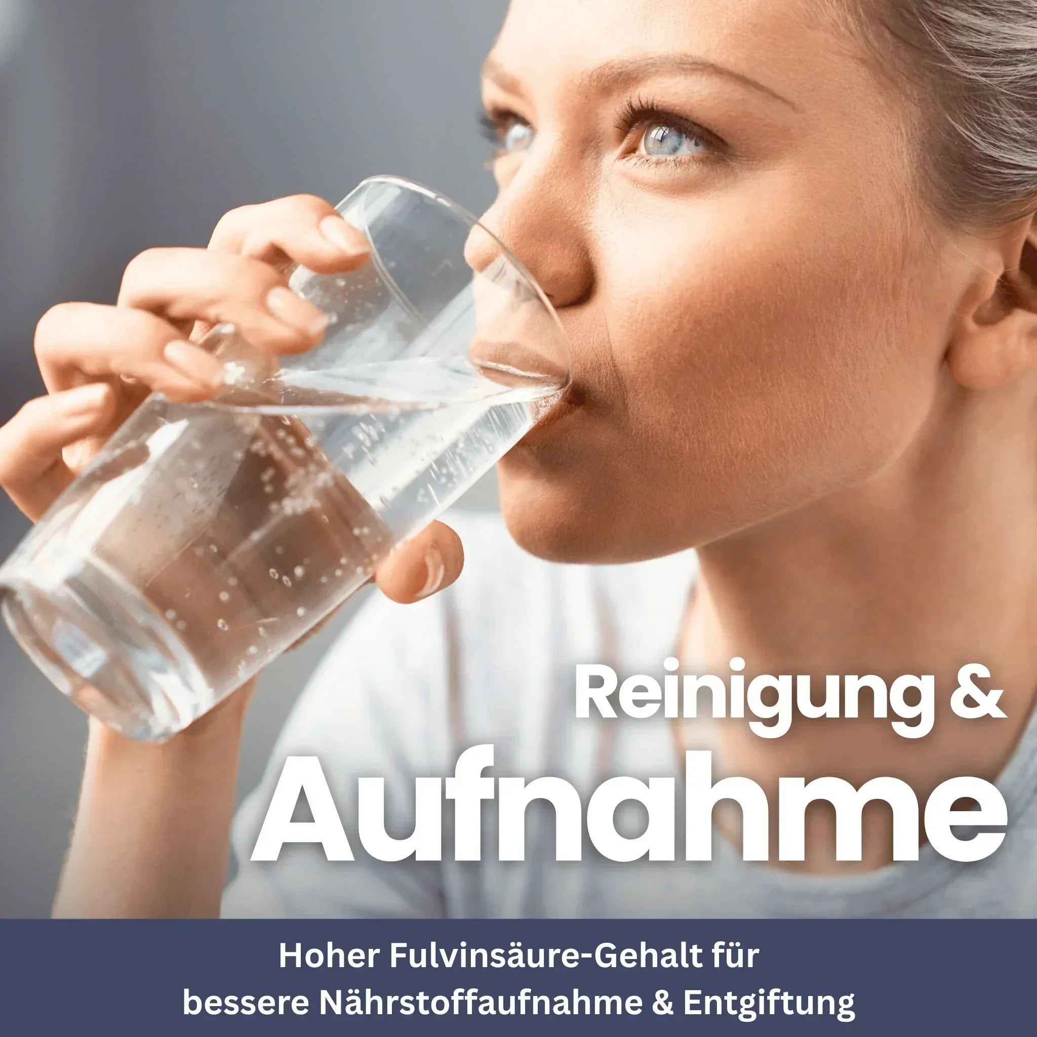 Shilajit Honey Sticks