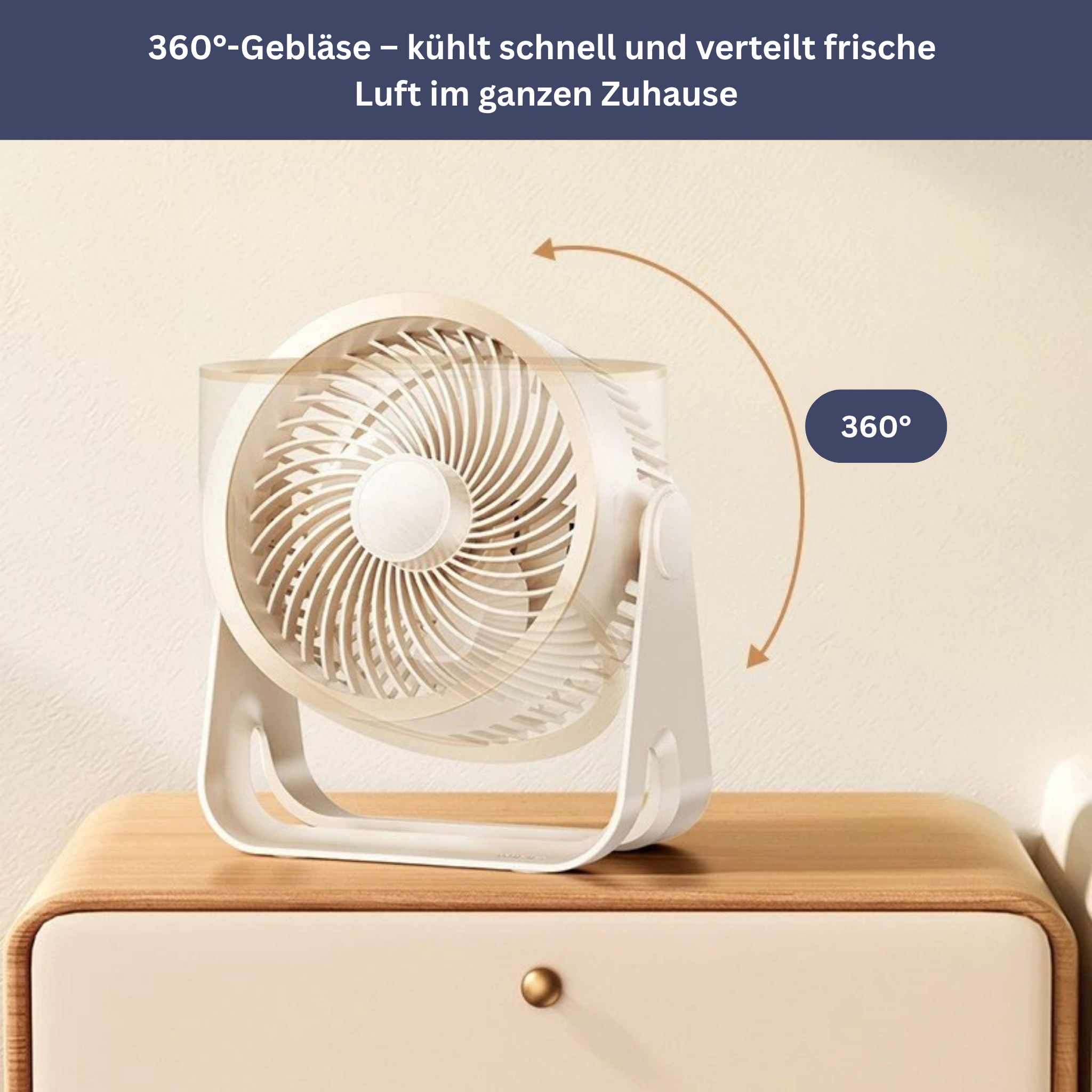 3-in-1 Fan with Swivel Function